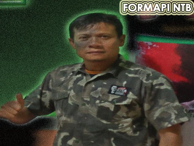 FORMAPI