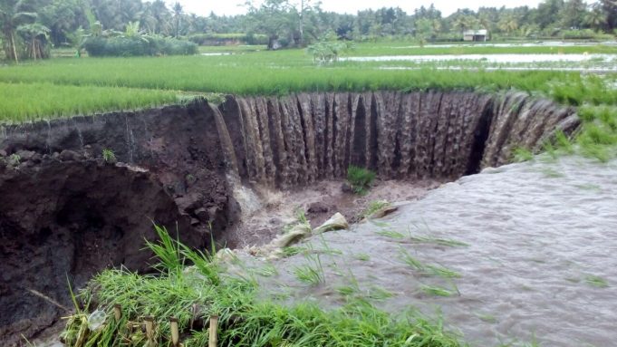 Banjir Suralaga,6 hektar sawah rusak,total rugi Rp 1 Milyar