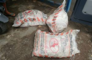 Di lotim,Hasanudin bawa BOM……….