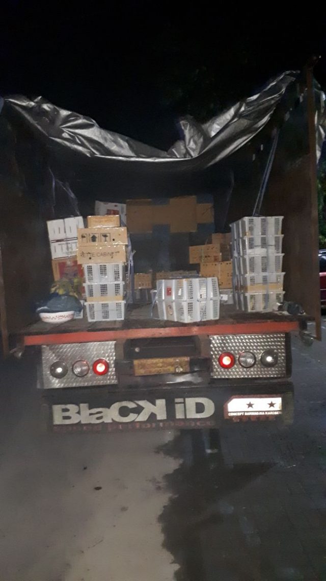 penangkapan burung dilindungi