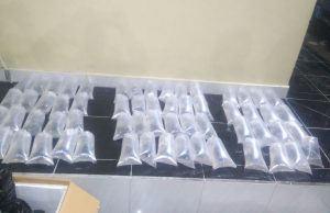 Hingga September, Ada 1,4 Juta Benih Lobster NTB Diekspor Ke Vietnam. Harganya Bikin Melongo