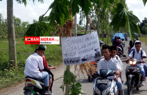 Warga Bonder tanam pisang di jalan,besok mau demo ke PU