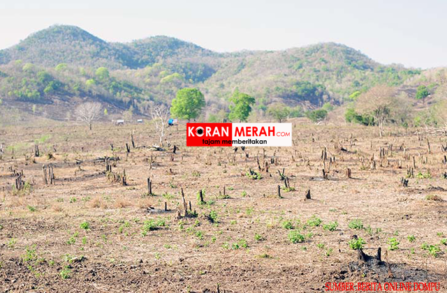 hUTAN-DOMPU