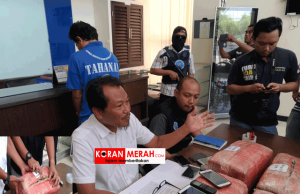Mengelus dada,20 kg ganja Aceh gerayangi Lombok,begini penangkapan Mafianya