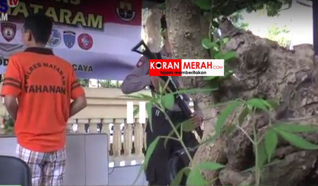 Gara gara tanaman ini,akhirnya masuk penjara