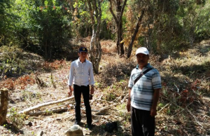 Hutan Sekitar Bendungan Tiu Kulit Digerayangi Warga Untuk Tanam Jagung