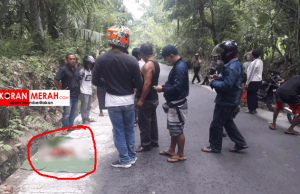 Kejam, Siapa Buang Bayinya Di Narmada. Begini Detik Detik Penemuannya Di Pinggir Jalan penemuan mayat bayi narmada