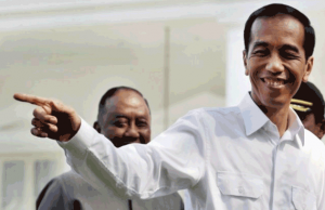 Jokowi Setuju Pembentukan Provinsi Papua Selatan. Provinsi Pulau Sumbawa ?