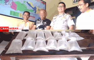 Bibit Lobster Bernilai Milyaran Rupiah Ditangkap. Di Nelayan Saja Harga Per Ekor Rp.40 Ribu