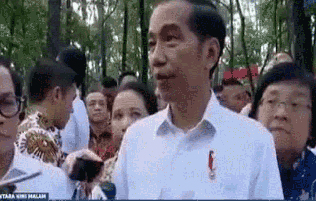 Jokowi-Guru-Honorer