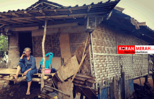 Nenek Minah Tinggal di Kandang Kambing. Pemerintah Bima Kemana