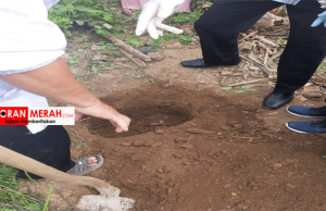 Geger, Siswi Pelajar di Sumbawa Tiba Tiba Melahirkan. Bayi Langsung Dikuburkan