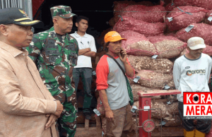 Sembalun Bangkit Jadi Stok Bawang Putih Nasional. Disiapkan Bibit 985 Ton