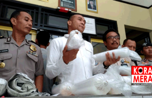 Polda Gagalkan Penyelundupan Ribuan Bibit Lobster Melalui Bandara Bima