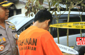 Polisi Bekuk Pencuri Puluhan Bibit Kelekeng Dan Durian