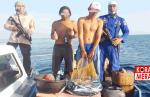 Polda NTB Tangkap Nelayan Pengebom Ikan di Perairan Poto Tano. Begini Kronologinya