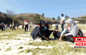 Banyak Sampah, Pemerhati Lingkungan Bersihkan Tanjung Aan Dan Bukit Mereseq