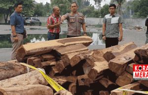 Polisi Amankan Kayu Sonokeling. Ditebang di Kawasan Hutan Lindung Mareje Bonga