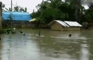 Banjir Bandang Rendam Rumah Warga di Desa Batulanteh Sumbawa