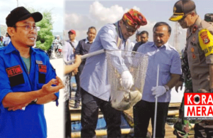 Menteri Edhy Ingin Ekspor Dan Budidaya Lobster Seimbang. LLA Desak Revisi Permen