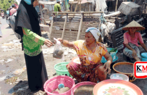 Hari Ini Nyale Mulai Ditangkap, Dijual di Pasar Hingga Rp.100 Ribu Per Kilogram