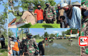 Jaga Ketersediaan Pangan, Kodim Loteng Turun Sawah Tanam Padi Mekongga