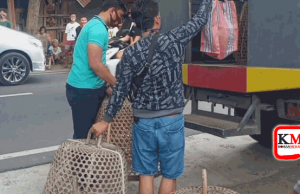 Penjudi di Cakra Lari Tunggang Langgang. Polisi Amankan 22 Ayam Jago