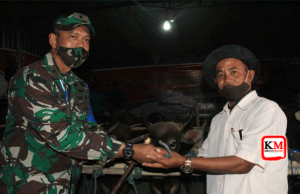 Terpencil, TNI Beri Warga Pulau Bungin 16 Ekor Sapi