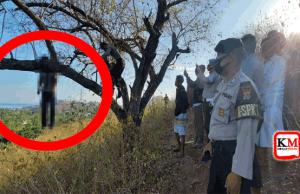 Warga Aik Semin Sekotong Digegerkan Dengan Penemuan Mayat Tergantung di Pohon