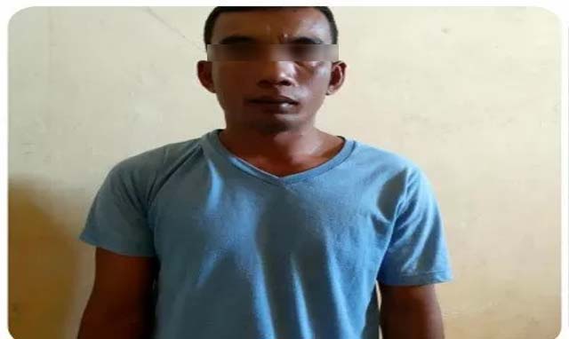 pencuri mutiara lotim