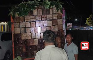 Dua Truk Penuh Kayu Disita Polisi. Hutan NTB Makin Tergerus