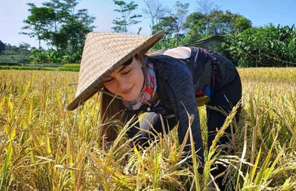 petani cantik 1