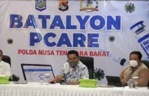 Mengenal Batalyon PCare. Dirancang Untuk Pendataan Vaksinasi Massal