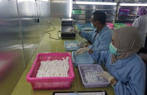 Entram, Cara NTB Bantu Indonesia Lacak Covid 19