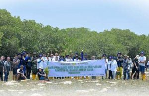 Jaga Ekosistem Laut, Bank NTB Syariah Tanam 10 Ribu Bibit Mangrove di Kawasan Gili Lampu