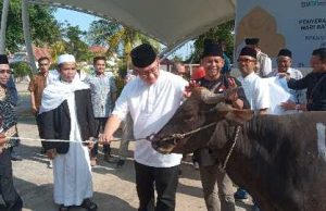 ITDC Serahkan Hewan Kurban Sambut Idul Adha 1445 H