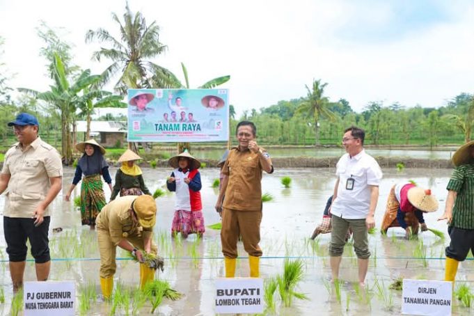 Bupati Lombok Tengah Dampingi Menteri Kebudayaan dan Wamentan dalam Tanam Raya di Pujut