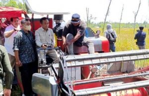 Lombok Tengah Panen Raya, Bupati Pathul Klaim Surplus 120 Ribu Ton Beras