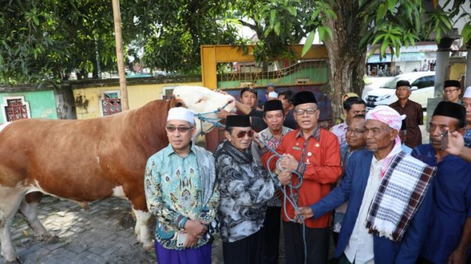 Loteng Terima 3 Ekor Sapi Qurban dari Presiden dan Gubernur