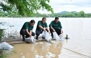 Wujudkan Filosofi “Berkah Bermakna”, Bank NTB Syariah Gelar Aksi Pelestarian Lingkungan di Bendungan Penyaring Sumbawa