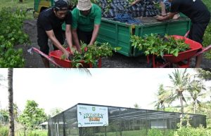 Kado HUTKe-67, Bank NTB Syariah bangun Nursery Farm Untuk Kabupaten Sumbawa