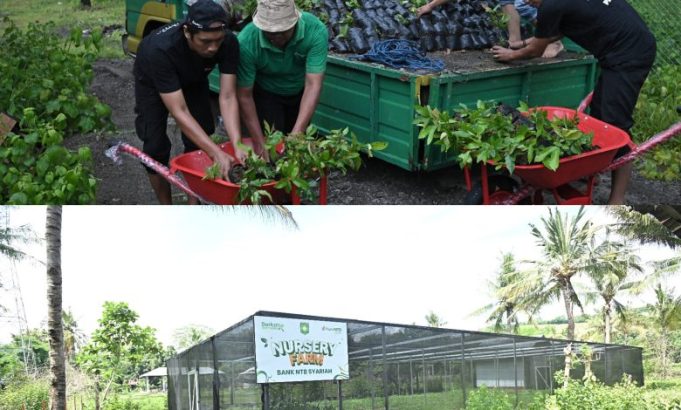 Kado HUTKe-67, Bank NTB Syariah bangun Nursery Farm Untuk Kabupaten Sumbawa